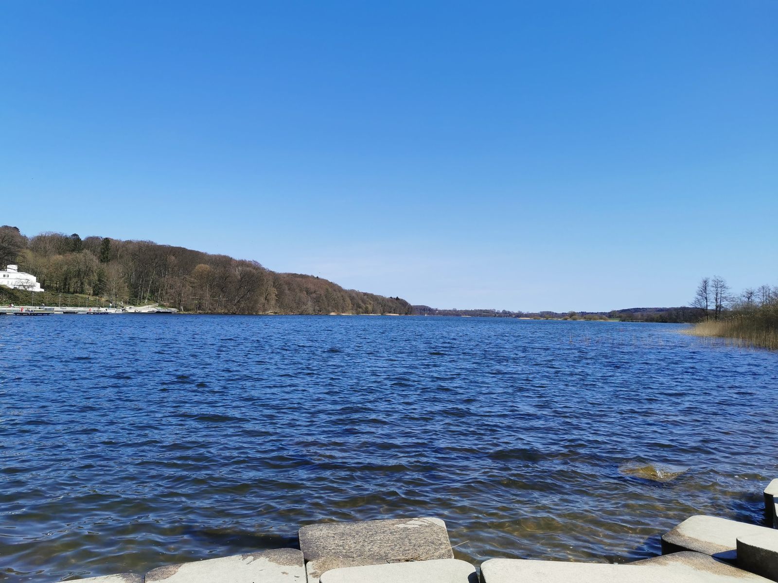 Blick über den See mit bewaldetem Ufer unter blauem Himmel.